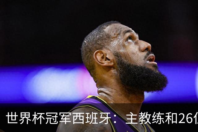 世界杯冠军西班牙：主教练和26位球员出生在哪些城市？