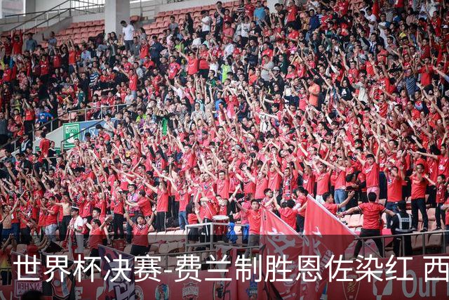 世界杯决赛-费兰制胜恩佐染红 西班牙加时1-0阿根廷夺冠