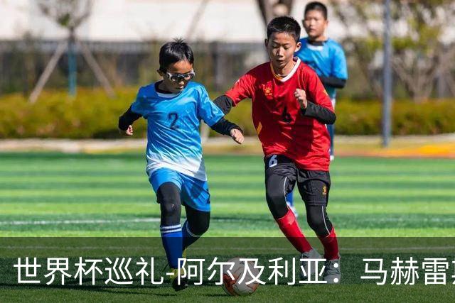 世界杯巡礼-阿尔及利亚：马赫雷斯领衔阵容实力出色，有黑马潜质