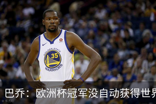巴乔：欧洲杯冠军没自动获得世界杯资格 这是耻辱
