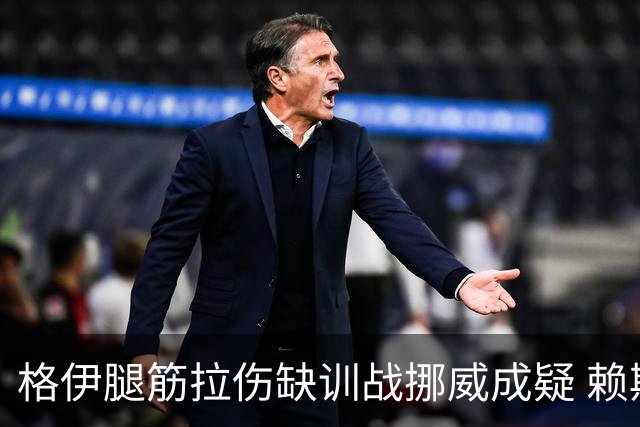 格伊腿筋拉伤缺训战挪威成疑 赖斯胃部不适和队友隔离