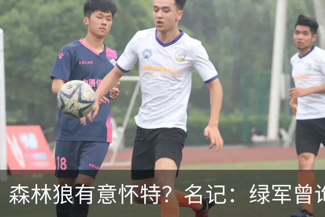 森林狼有意怀特？名记：绿军曾询价戈贝尔被拒绝 他和怀特能配平
