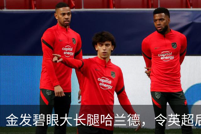 金发碧眼大长腿哈兰德，令英超后卫闻风丧胆，一己之力带飞挪威！